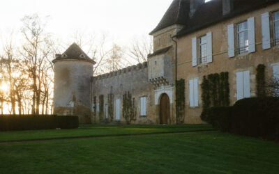 Sauternes Wine Tour: Tasting Guide & Top Châteaux