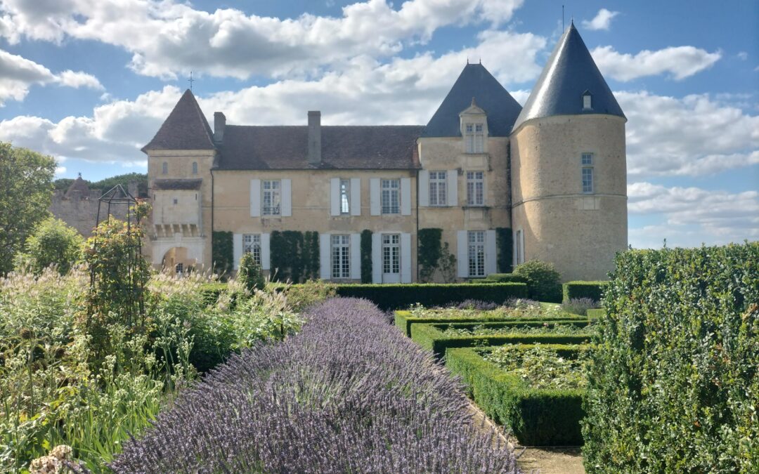 Bordeaux Wine Tour Packages: Complete Travel Guide