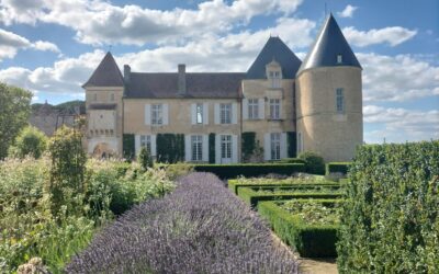 Bordeaux Wine Tour Packages: Complete Travel Guide