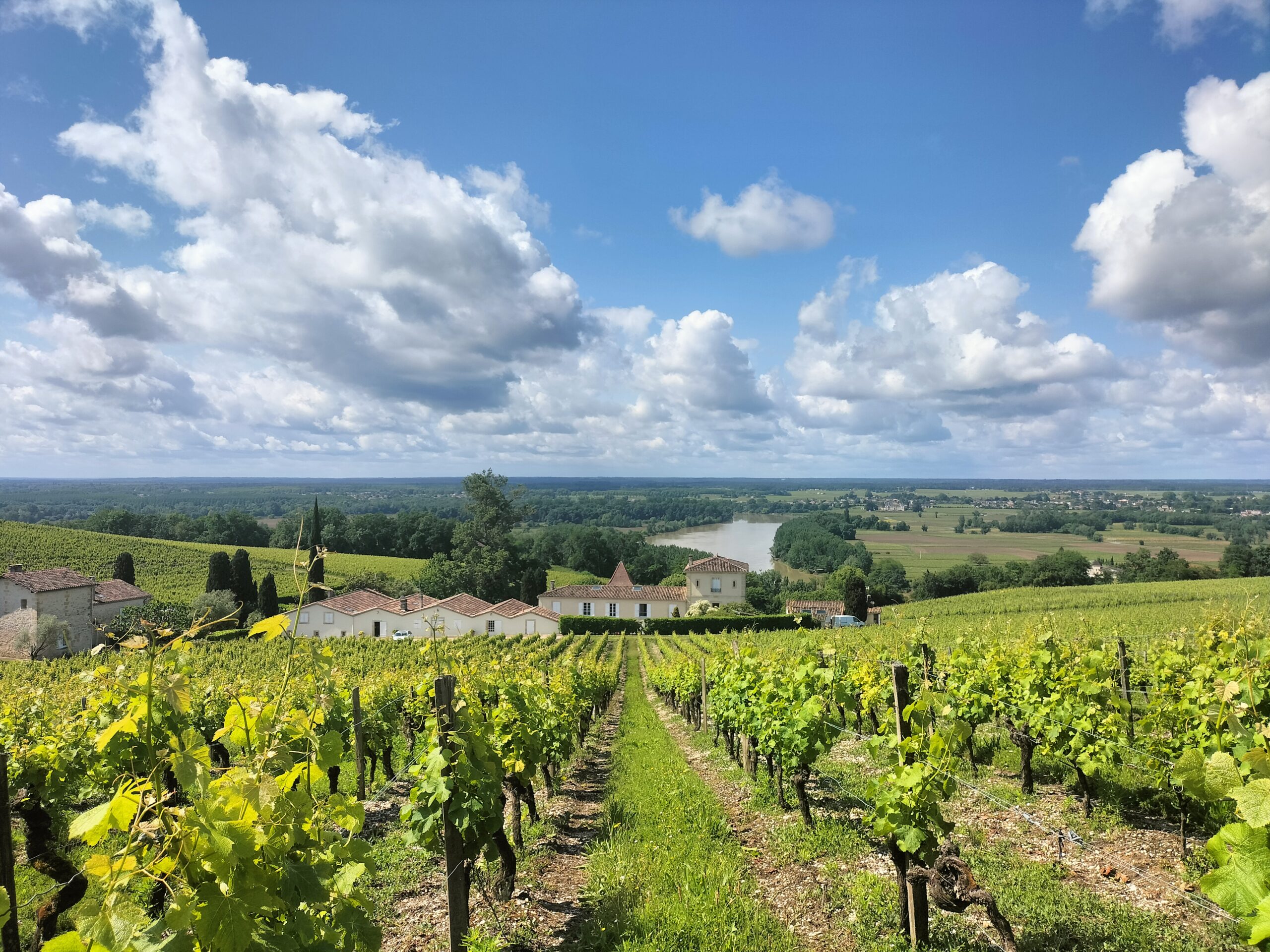 Wine tour Bordeaux - chateau tasting - Saint Emilion - Travel - Cognac - Sauternes - Saint-Julien Pauillac - Margaux - Private & group wine tour