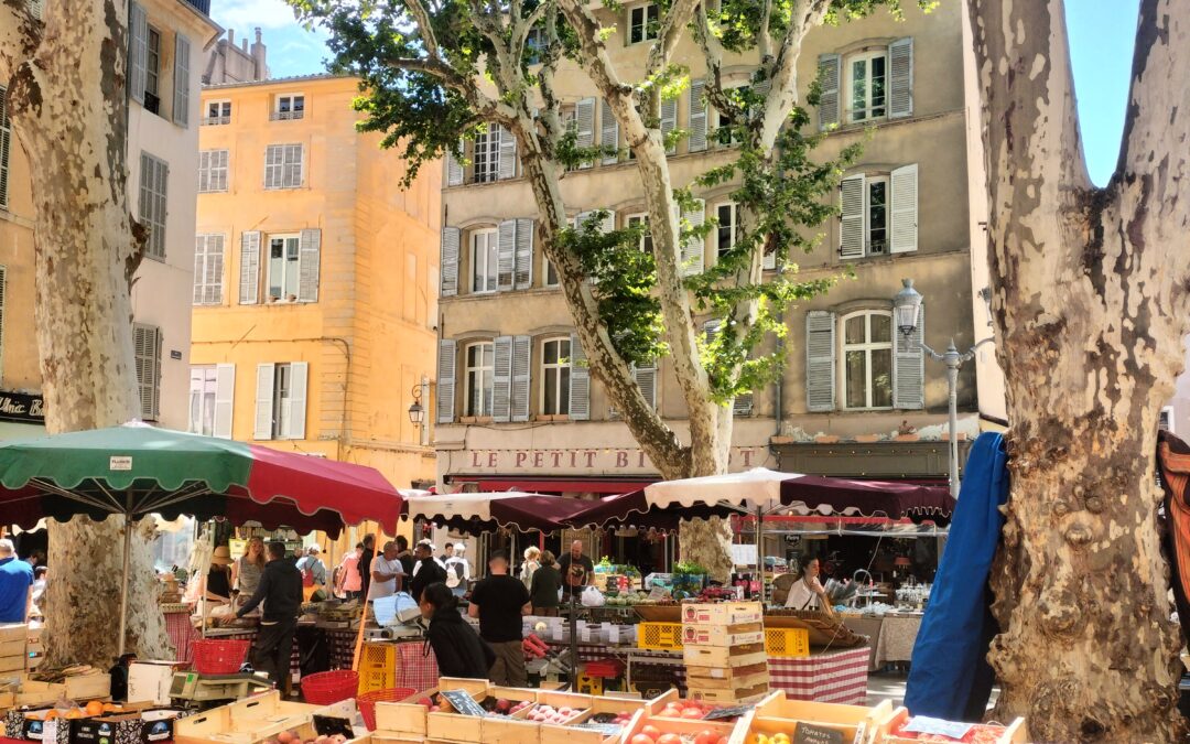 River Cruise vs Ground Trip in Bordeaux: Which Wins?