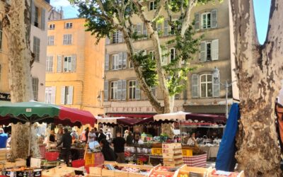 River Cruise vs Ground Trip in Bordeaux: Which Wins?