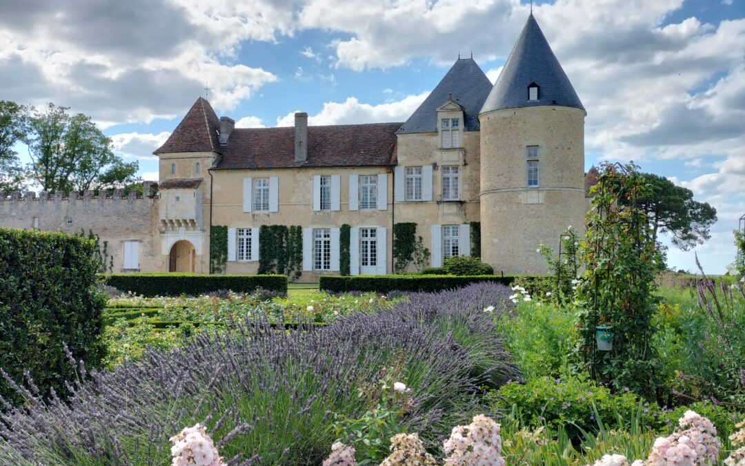 Luxury All-Inclusive Wine Tour in Bordeaux